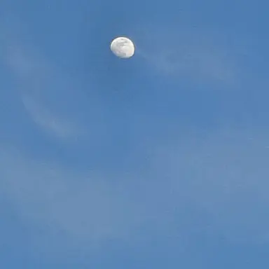 Profile image of 권지용