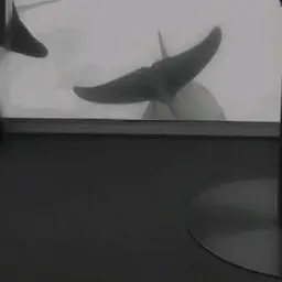 Profile image of 叶