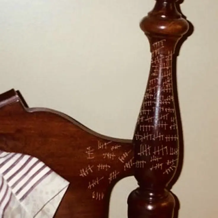 TimidMoss6632의 울보야.