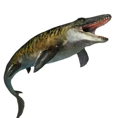 Profile image of 모사사우루스