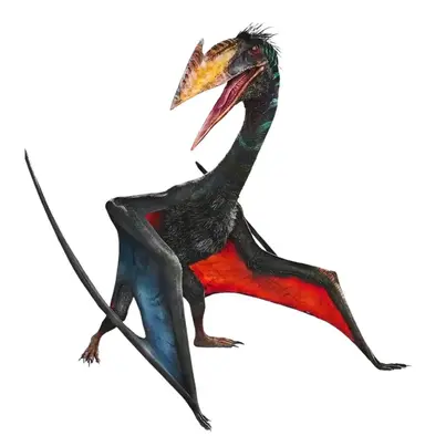 Profile image of 케찰코아툴루스