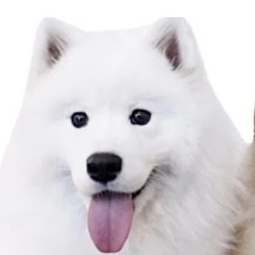 우유