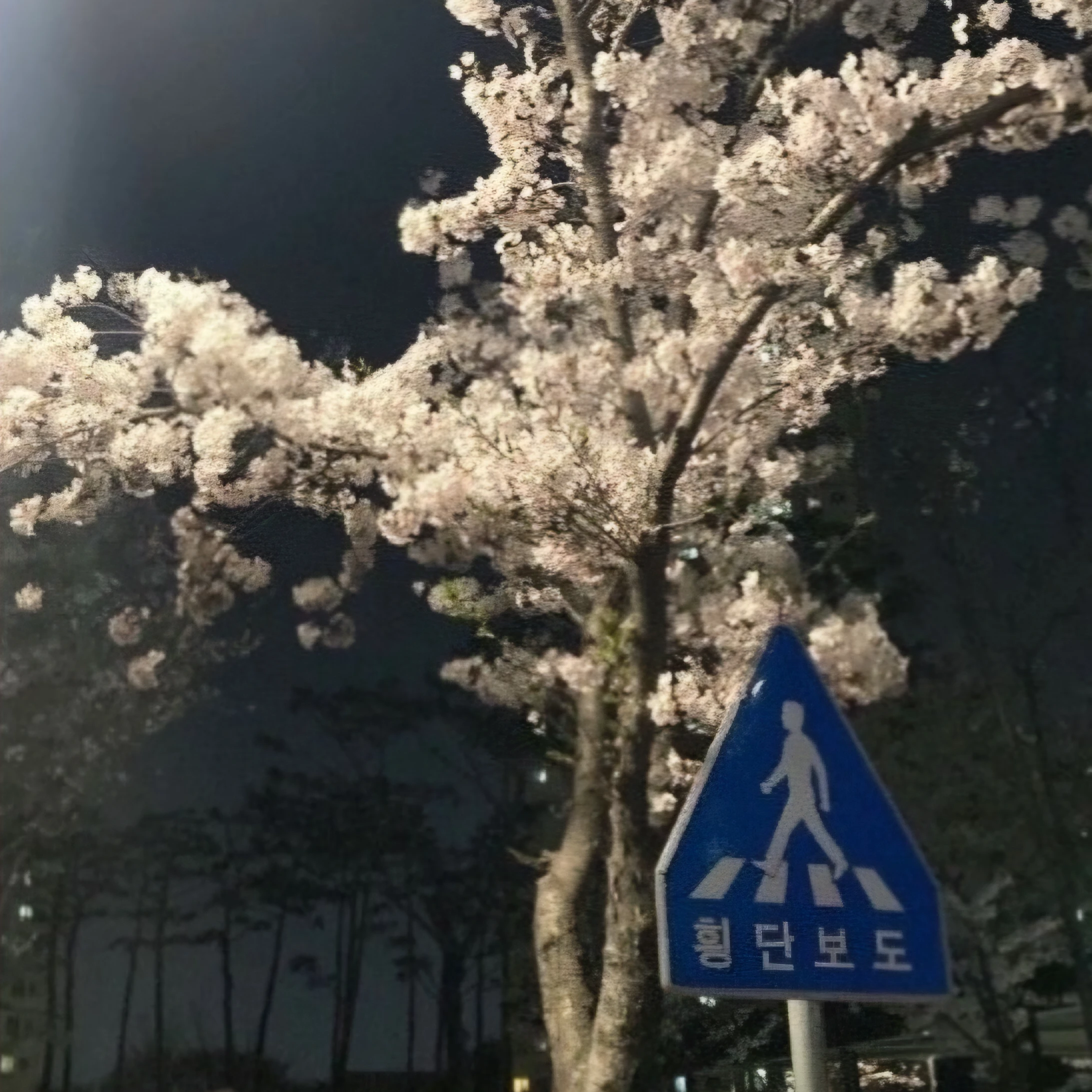 민지훈