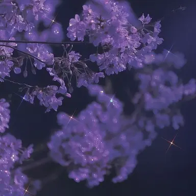 Profile image of 바람여우