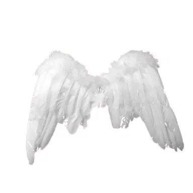 Profile image of ミナ