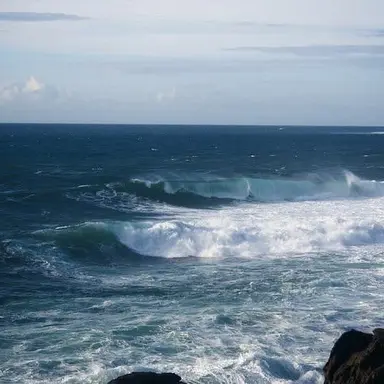 Profile image of 정 지 훈