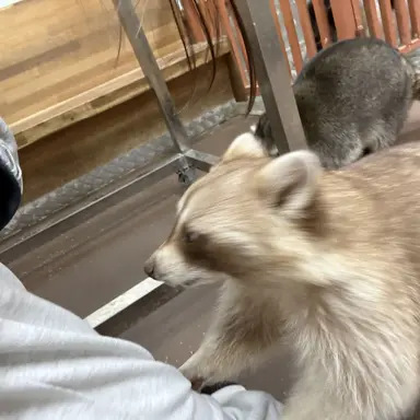 Profile image of 말이야