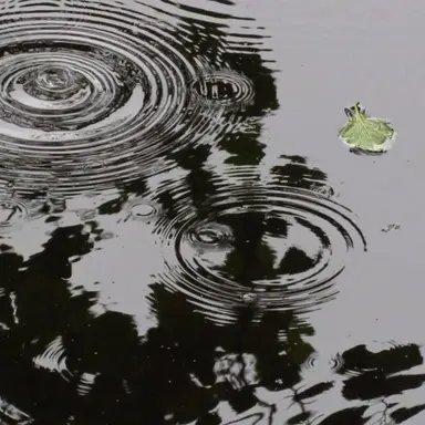 Profile image of 파크모