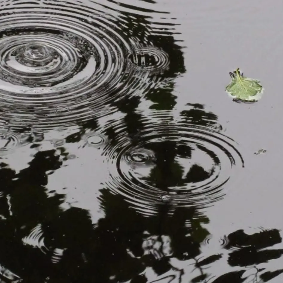 Clean_water의 파크모
