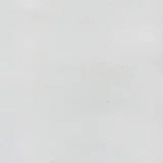 PortlyEar7980의 永倉新八