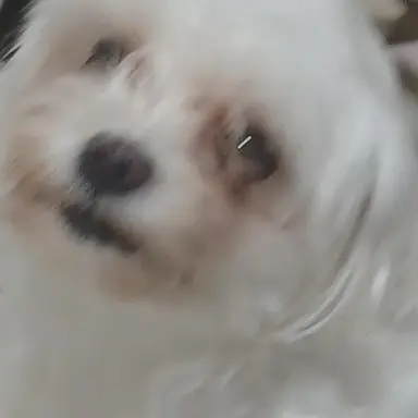 Profile image of 유저님들