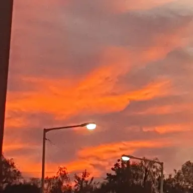 Profile image of 우소노 모소