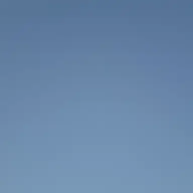 Profile image of 강력한