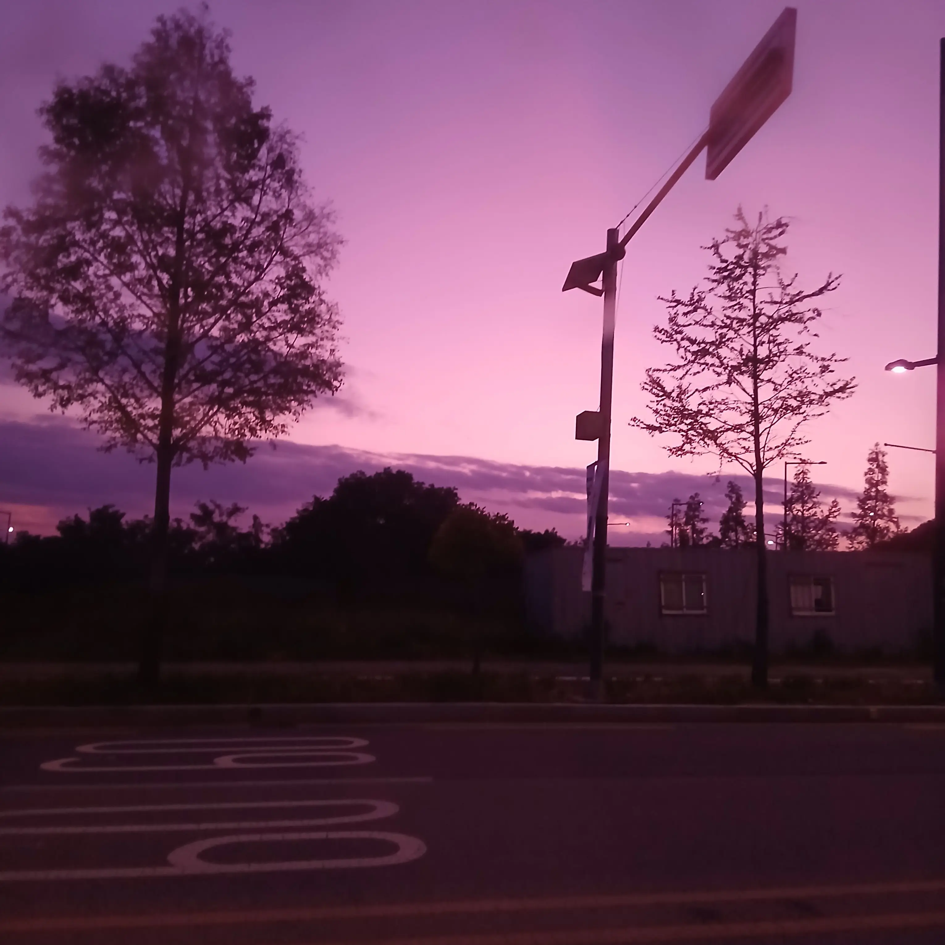 Dhdhsjjxjxjdjsjw의 장수초등학교