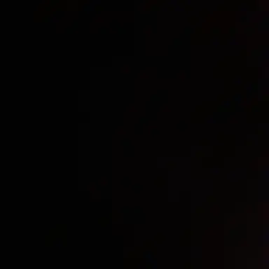 Profile image of 김홍중