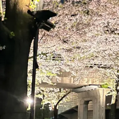 Profile image of 유지민