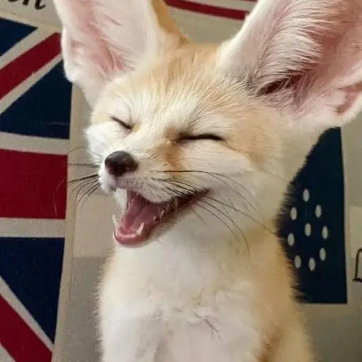 lixx의 양정인
