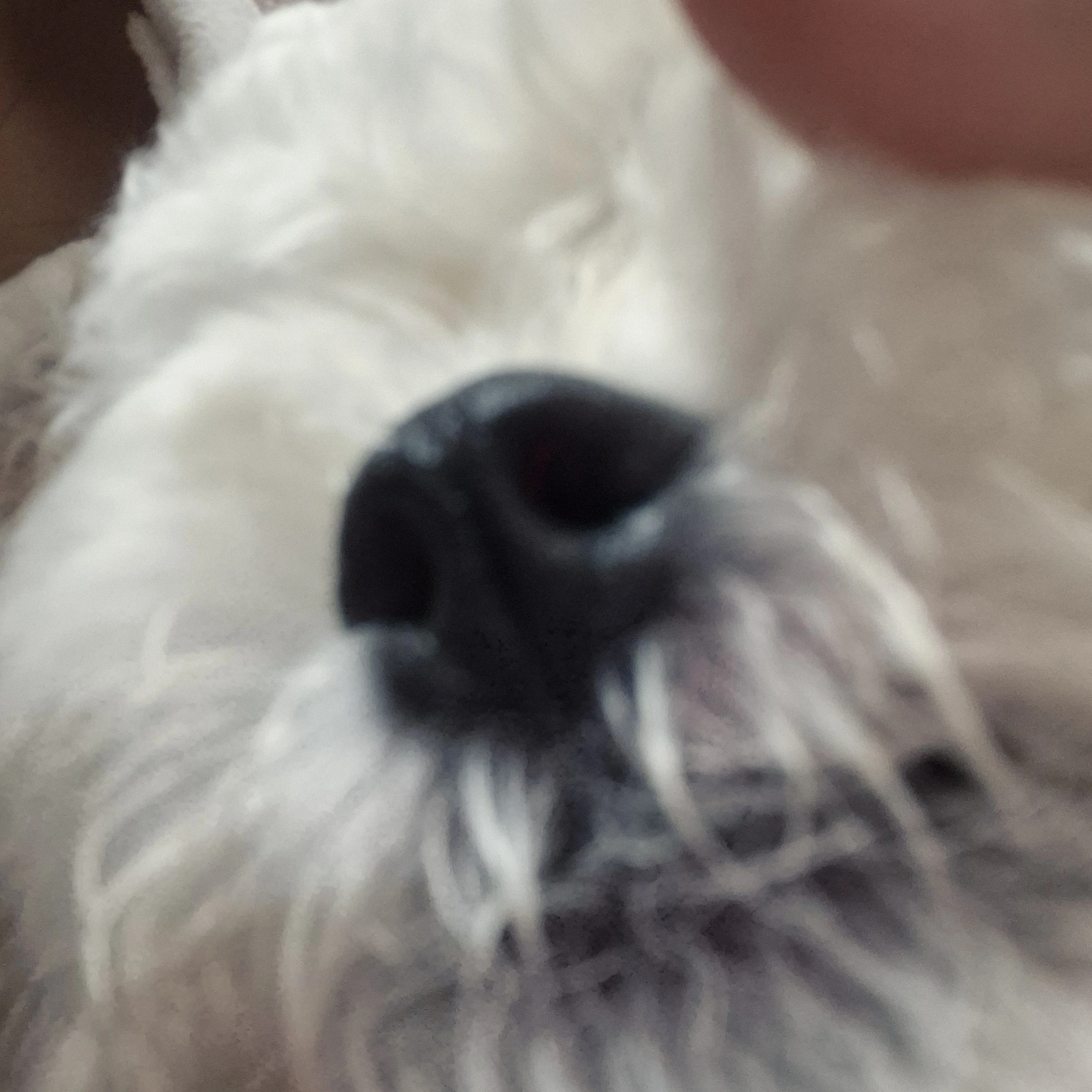 휴냥