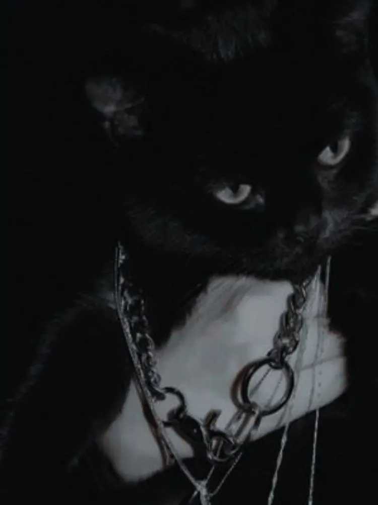 Knmc.t_0822의 ストーカー佐伯