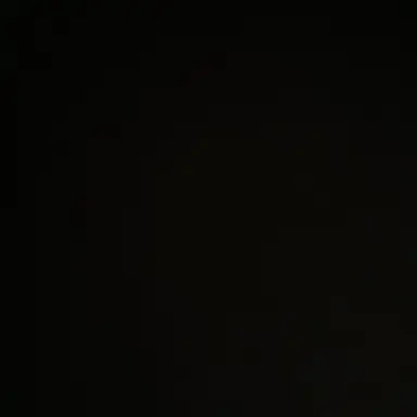 Profile image of 유기사