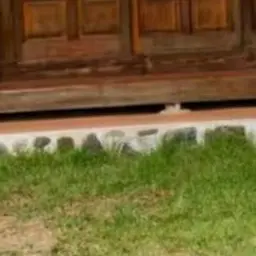 Profile image of 김도은