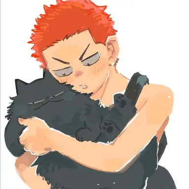 Profile image of Hanamichi Sakuragi