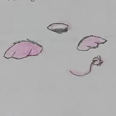 Profile image of 랜스