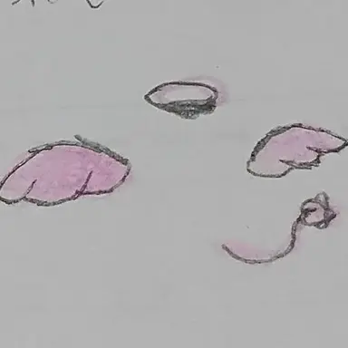 Profile image of 쿨키드