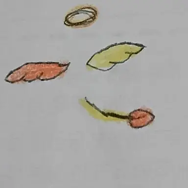 Profile image of 투타임