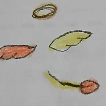 Profile image of 아주르