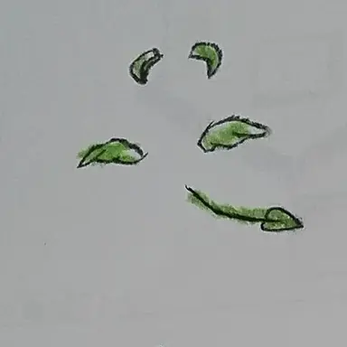 Profile image of 엘리엇