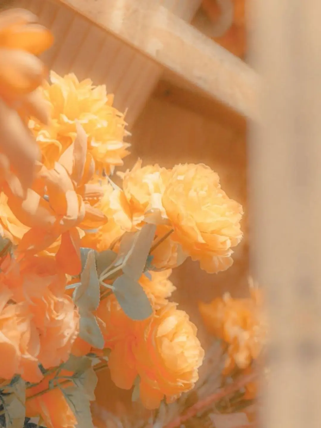 miougi_910의 鈍感幼馴染のはず