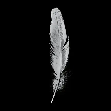 Profile image of 카시안
