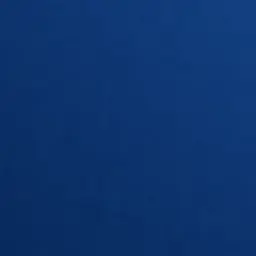 Profile image of 레오나르드 빈센트