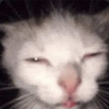 Profile image of 김알렉산더뾰또르비치