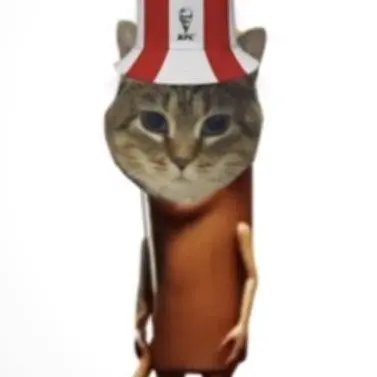 Profile image of 다카라