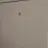 ㅈㅇㄱ