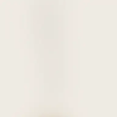 Profile image of 銀