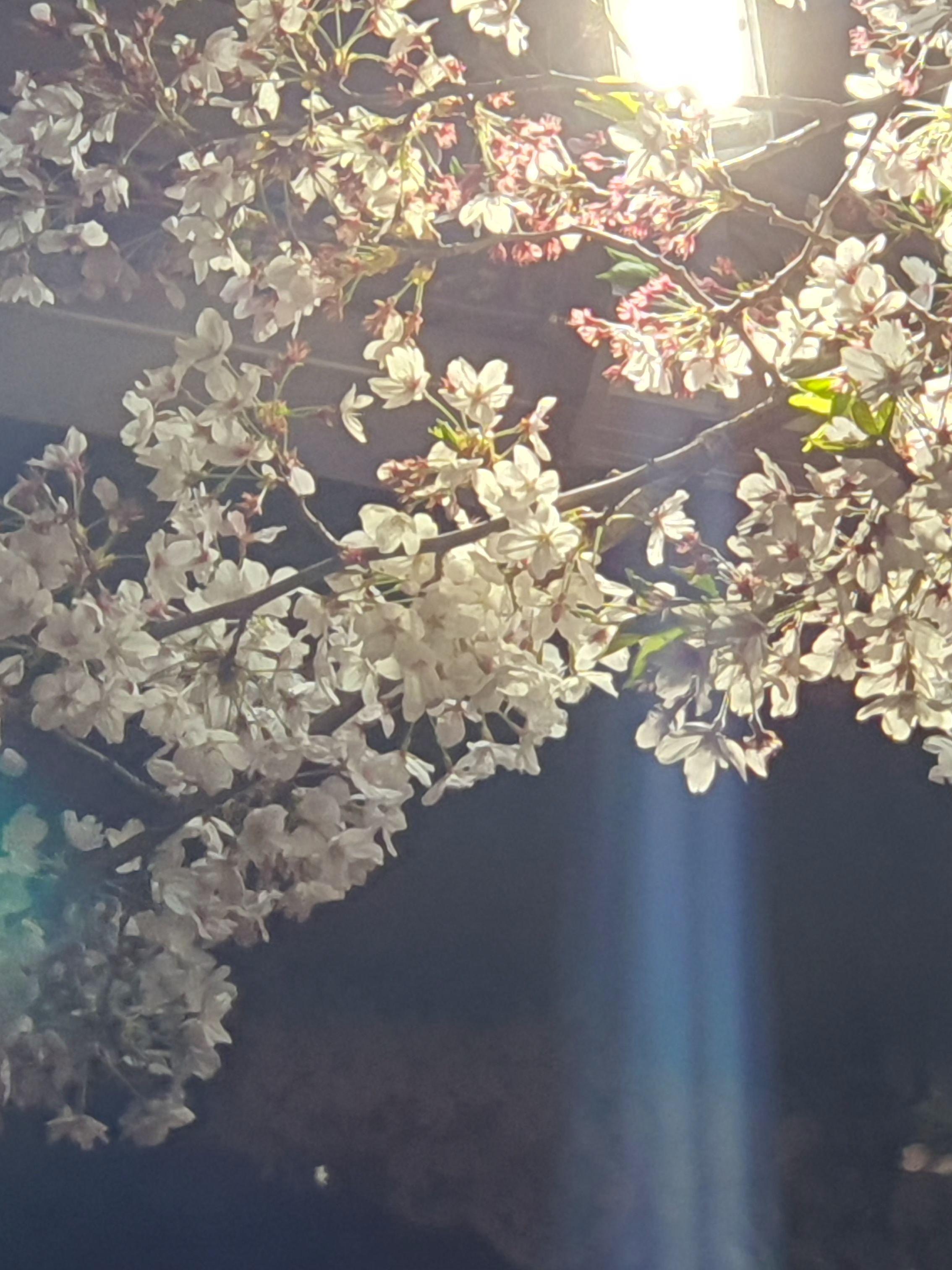 아이브 스토커 대표 이미지