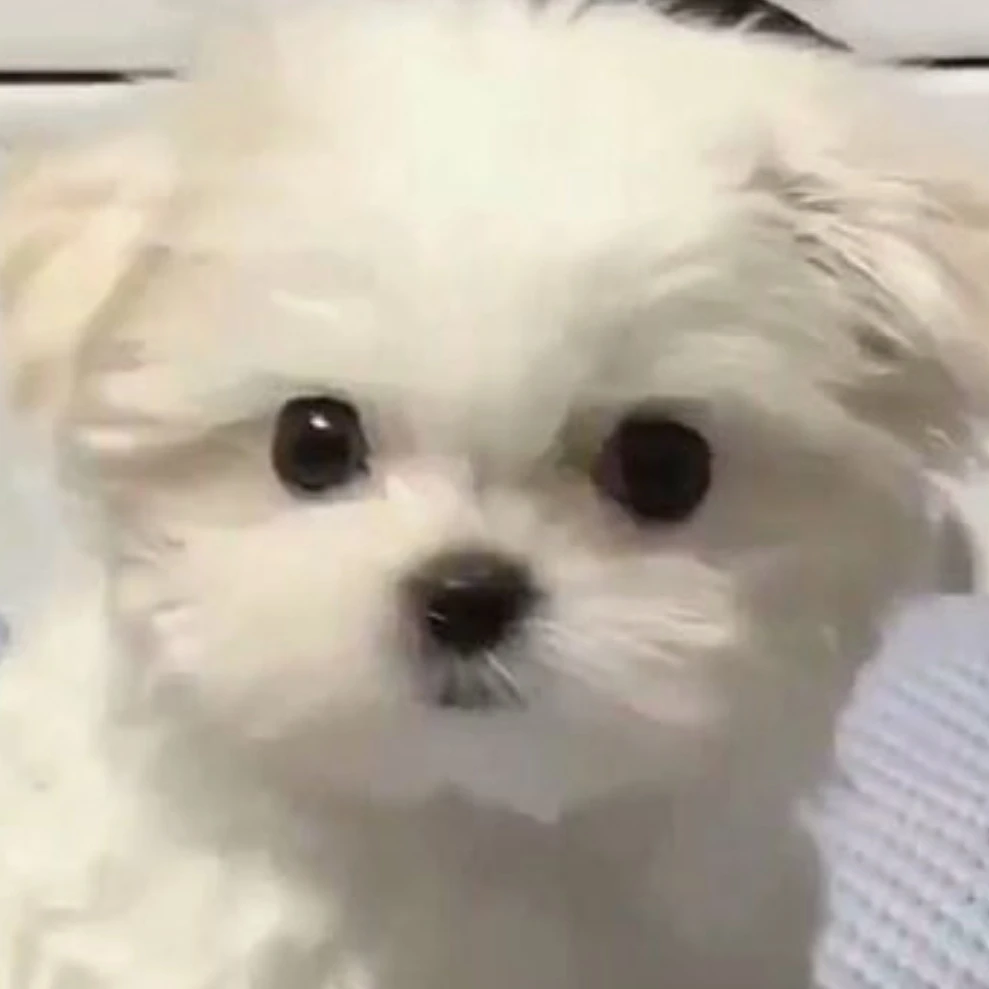 쿠키런 킹덤