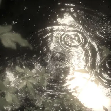 Profile image of 채스터