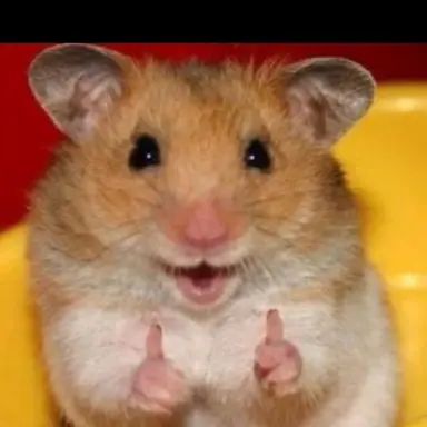 Profile image of 끝말잇기장인