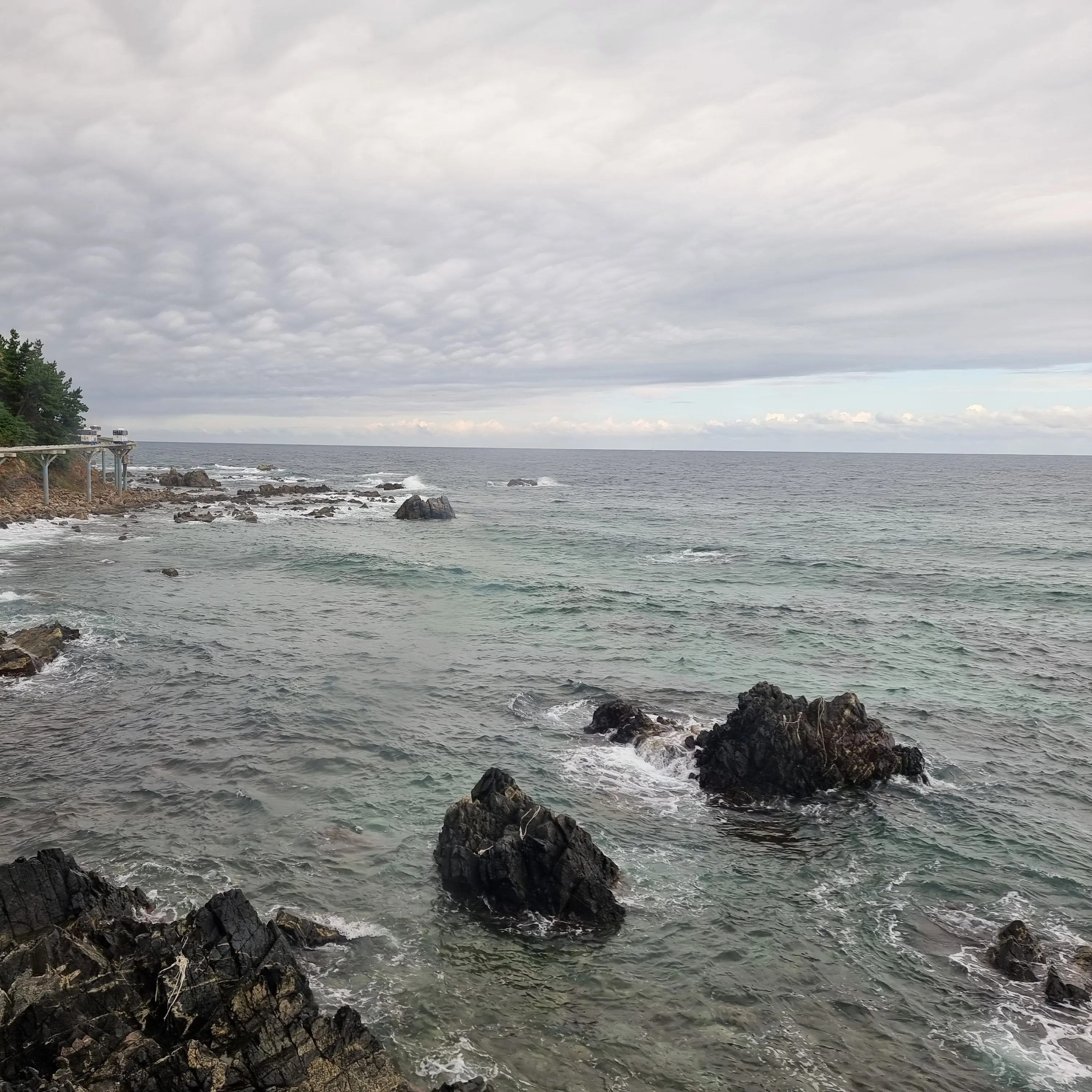 StrictPrint7152의 ㅊㅅㅊ