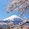 Profile image of 日本異能事件