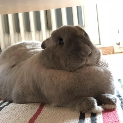 서성은