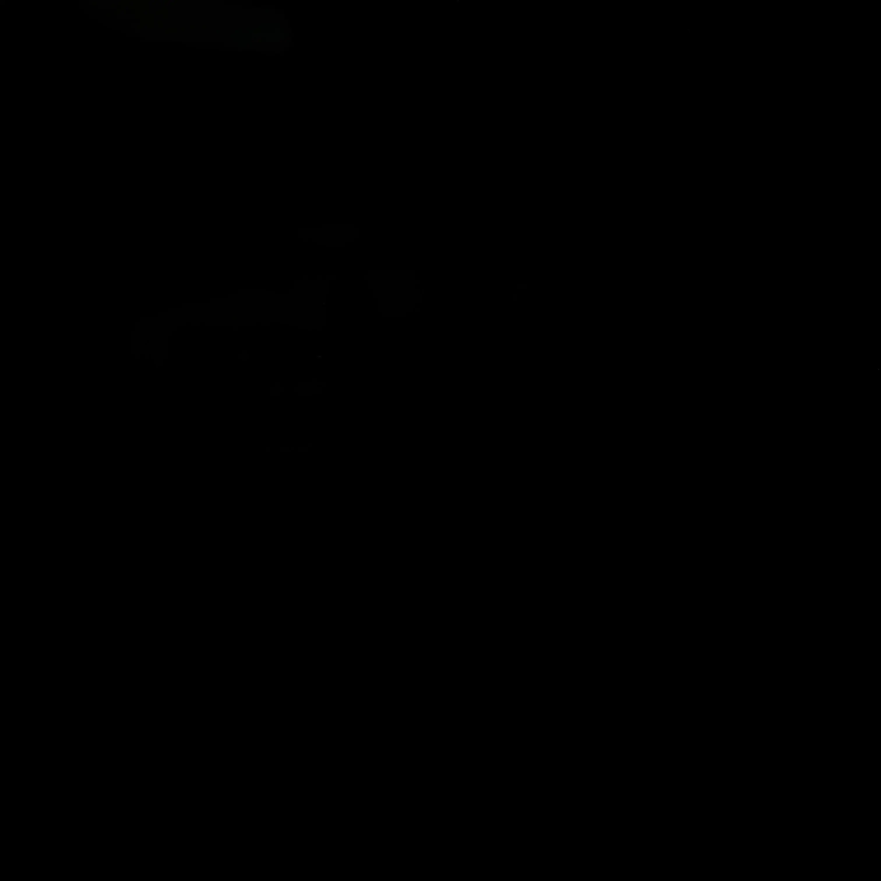 Megamalang의 햄숙