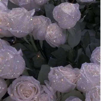 DryFly7080의 신비아파트