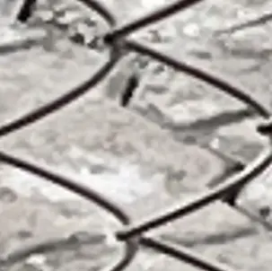 FirmStraw7552의 태권도하는언니오빠들