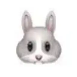 Profile image of 網代 聖人