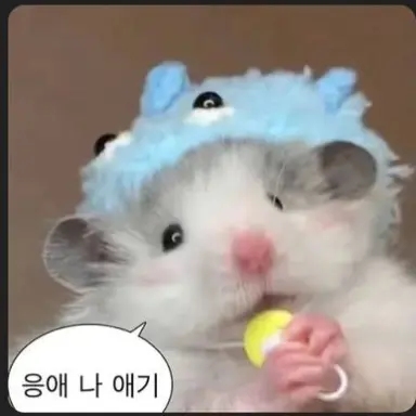 Profile image of 햄찌